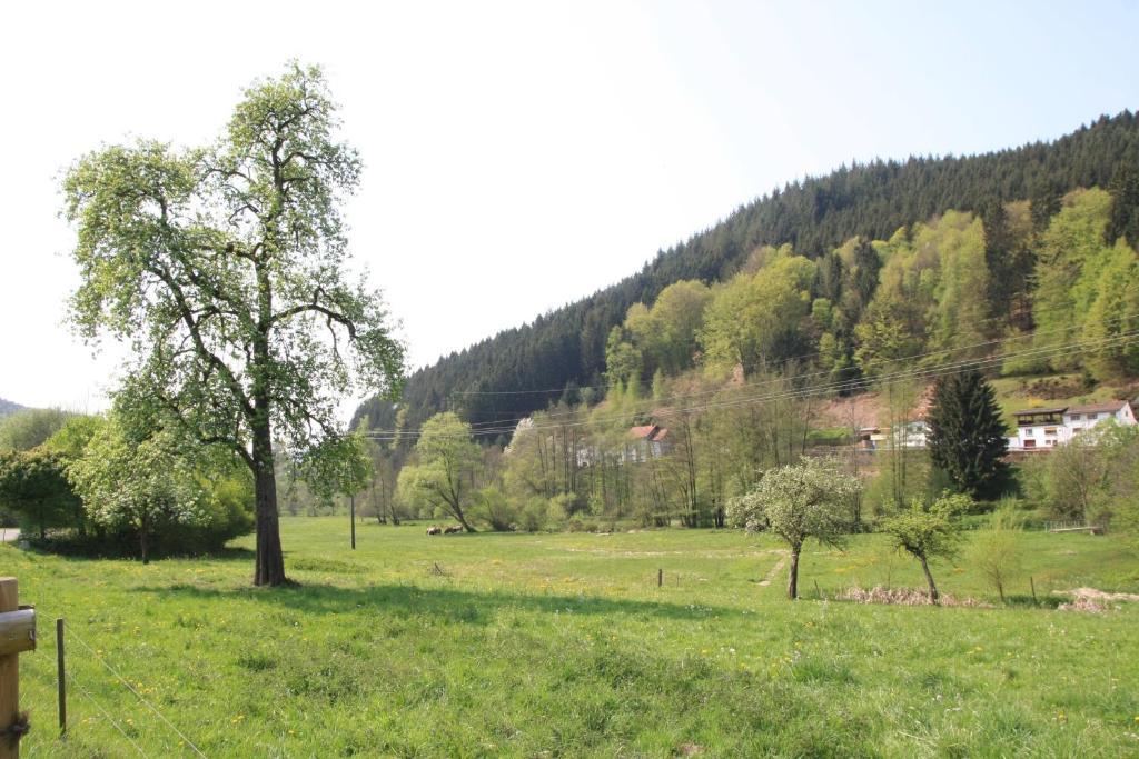 Hôtel Gasthof Zur Traube à Finkenbach Extérieur photo