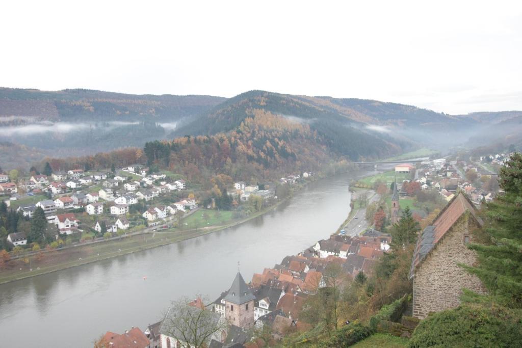 Hôtel Gasthof Zur Traube à Finkenbach Extérieur photo